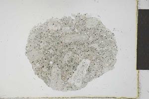 Plane Polarized, S23395