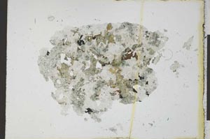 Plane Polarized, S23408