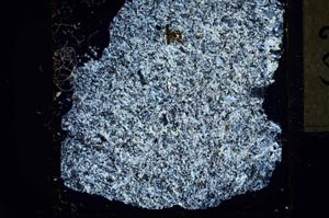 Cross Polarized, S23427