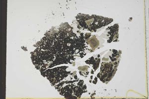 Plane Polarized, S23441