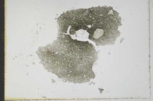 Plane Polarized, S23443