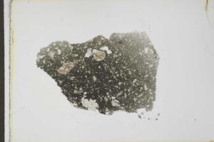 Plane Polarized, S23444