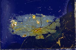 Cross Polarized, S23449