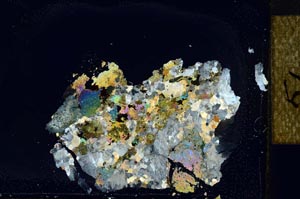 Cross Polarized, S23468