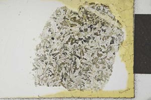 Plane Polarized, S23483