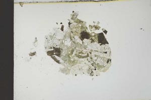 Plane Polarized, S23486