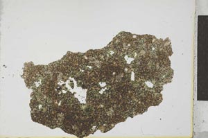 Plane Polarized, S23517