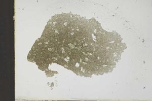Plane Polarized, S23526
