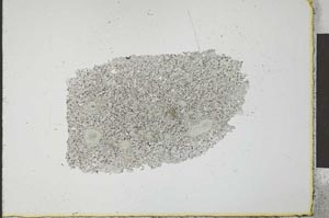Plane Polarized, S23533