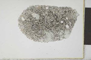 Plane Polarized, S23536