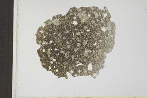 Plane Polarized, S23539