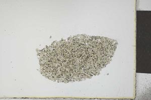 Plane Polarized, S23547