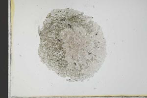 Plane Polarized, S23563