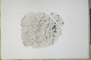 Plane Polarized, S23564