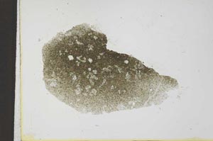 Plane Polarized, S23566