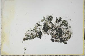 Plane Polarized, S23574