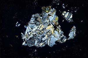 Cross Polarized, S23581