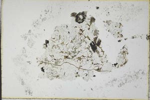 Plane Polarized, S23581