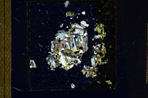 Cross Polarized, S23581/A