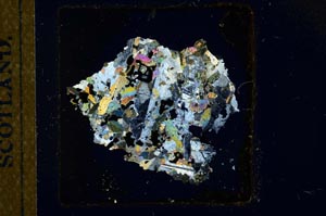 Cross Polarized, S23583