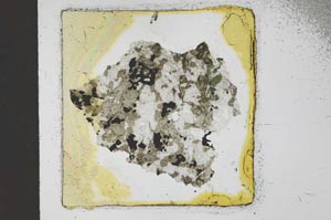 Plane Polarized, S23583