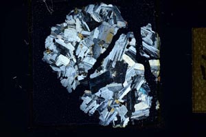 Cross Polarized, S23584