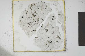 Plane Polarized, S23584