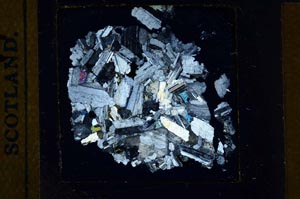 Cross Polarized, S23586