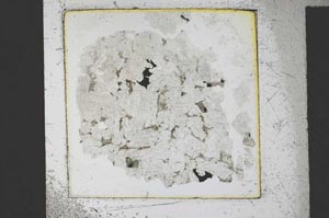 Plane Polarized, S23586