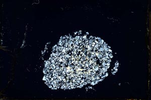 Cross Polarized, S23611