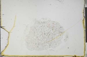 Plane Polarized, S23611