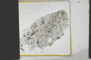 Plane Polarized, S23616