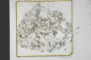 Plane Polarized, S23619