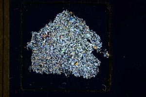 Cross Polarized, S23630