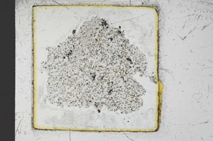 Plane Polarized, S23630