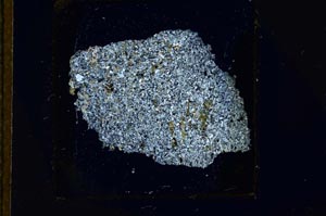 Cross Polarized, S23631