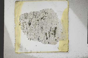 Plane Polarized, S23631