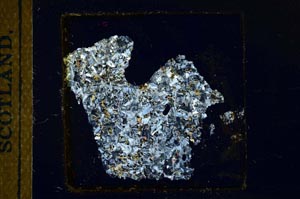 Cross Polarized, S23636