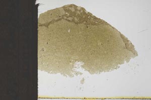Plane Polarized, S23640