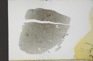 Plane Polarized, S23646