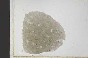 Plane Polarized, S23648
