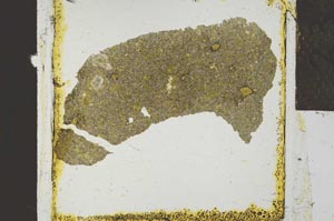 Plane Polarized, S23788