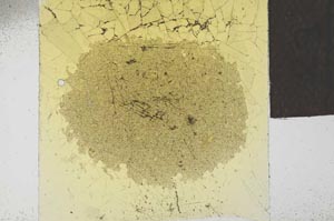 Plane Polarized, S23791