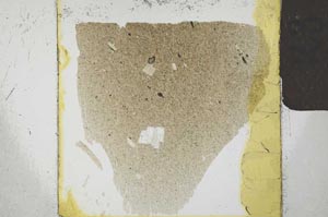 Plane Polarized, S23798
