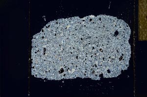 Cross Polarized, S23810