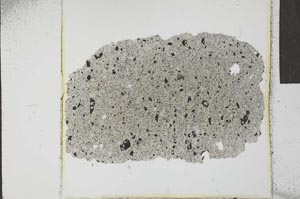 Plane Polarized, S23810