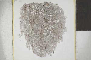 Plane Polarized, S23811