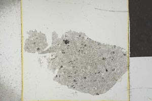 Plane Polarized, S23818