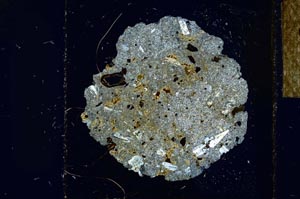 Cross Polarized, S23820