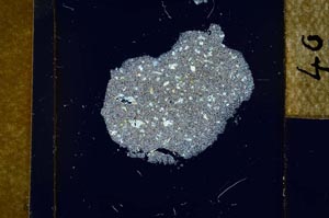 Cross Polarized, S23825